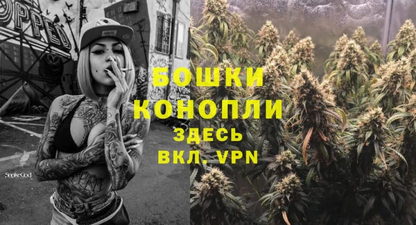трава Алзамай